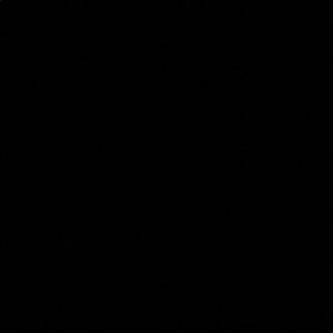 Meet your Posher, Zach